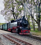 Ferienwohnung in Baabe - Dünenkieker - Bild 14