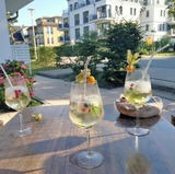 Ferienwohnung in Baabe - Dünenkieker - Bild 16