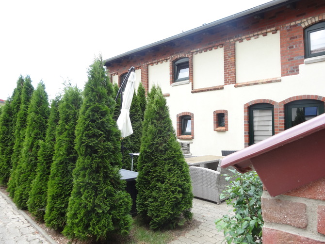 Ferienwohnung in K&auml;gsdorf - Hof Hoogendoorn - Bild 11