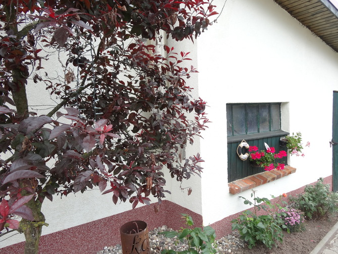 Ferienwohnung in K&auml;gsdorf - Hof Hoogendoorn - Bild 12