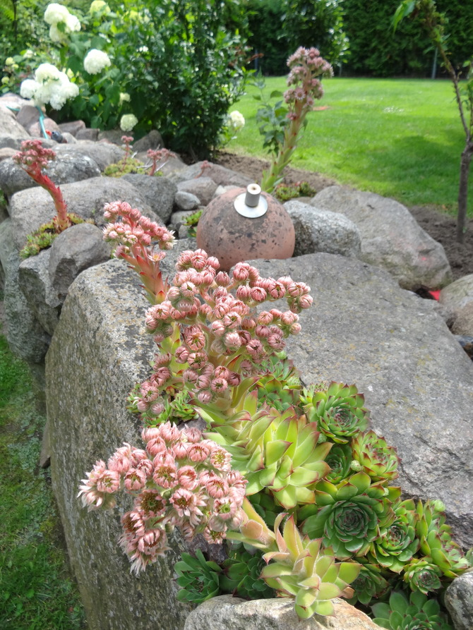 Ferienwohnung in K&auml;gsdorf - Hoogendoorn - Bild 15