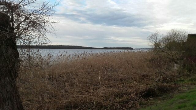 Ferienwohnung in Hohen Viecheln - Ferienwohnung "Nina" in Hohen Viecheln - Bild 19