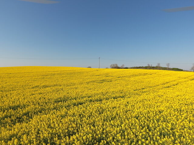 Ferienwohnung in Rabenkirchen-Faulück - Schleiblick Sparzimmer 1 - Bild 13