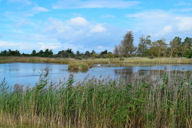 Ferienwohnung in Heiligenhafen - "Kleine Krabbe", App. 10 - Bild 20