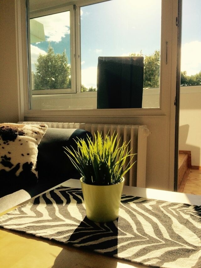 Ferienwohnung in Holm - Sachs, Gabriele: "Haus Schleswig", Ferienapp. (Nr. 247) - Bild 5