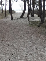 Ferienwohnung in Karlshagen - ferienwohnung köster - Bild 16