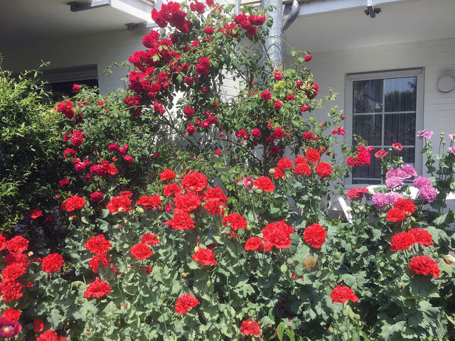 Ferienwohnung in Ostseeheilbad Zingst - Strandkieker 14, PP innen - Bild 7