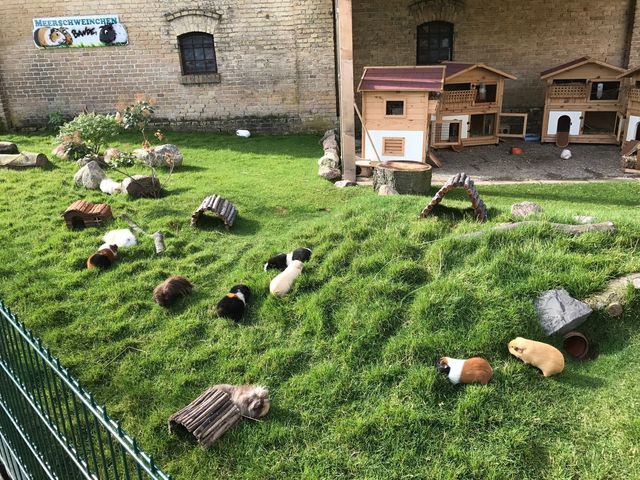 Ferienhaus in Fehmarn OT Staberdorf - Reetdachhaus 6, inkl. 2 Parkpl&auml;tze - Bild 22