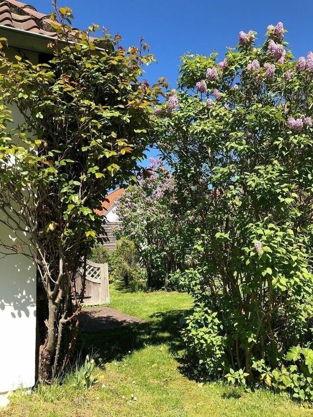 Ferienhaus in Hohwacht - Witt H&uuml;s - Bild 19