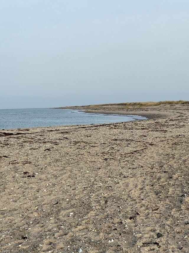 Ferienwohnung in Fehmarn - Ferienwohnung Nord - Bild 14