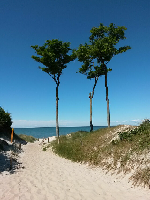 Ferienwohnung in Prerow - FeWo Rothirsch - Heuser Prerow - Bild 13