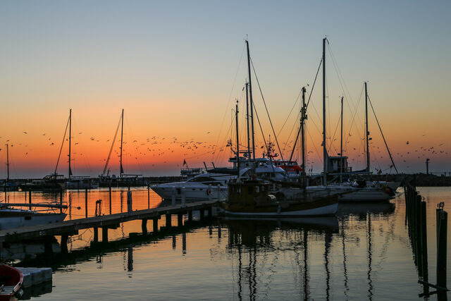 Ferienwohnung in Gr&ouml;mitz - Strandhaus am Yachthafen App. 6 mit herrlichem Ostseeblick - Bild 18
