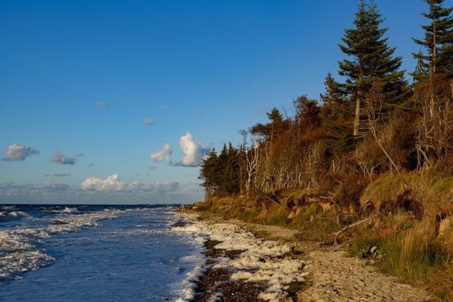 Ferienwohnung in Graal-Müritz - Sanddorn - Bild 18