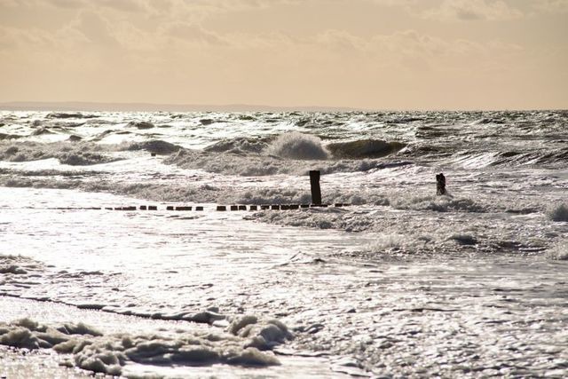 Ferienwohnung in Graal-Müritz - Stranddistel - Bild 16
