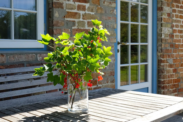 Ferienhaus in Gelting - Paulsen Häuschen - Schloss Gelting - Bild 2