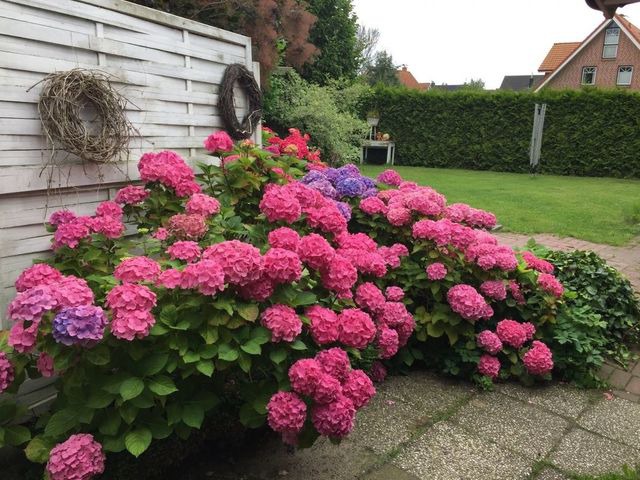 Ferienwohnung in Kellenhusen - Haus Strandl&auml;ufer Wohnung 3 - Bild 14
