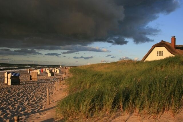 Ferienwohnung in Born a. Darß - Ferienwohnung Nr. 01 (EG) - Bild 22