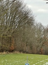 Ferienhaus in Steinbeck - MP 9 Villa - Bild 10