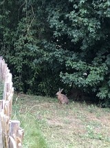 Ferienhaus in Steinbeck - MP 9 Villa - Bild 22
