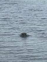 Ferienwohnung in Steinbeck - MP 2 Leuchtturm - Bild 16