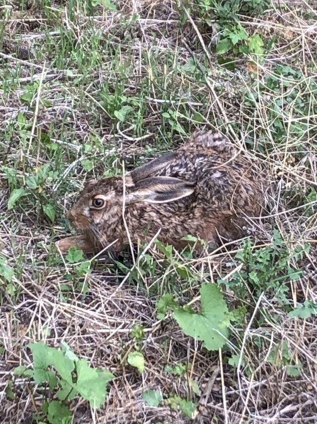 Ferienwohnung in Steinbeck - MP 6 Nordstern - Bild 16