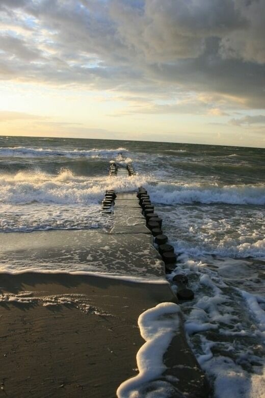 Ferienwohnung in Born a. Darß - Ferienwohnung Nr. 06 (EG) - Bild 19