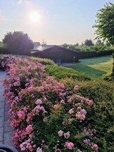 Ferienwohnung in Breege - Sonnenhus 1 - Breege/Rügen - Bild 21