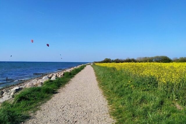 Ferienhaus in Gelting - Ferienhaus Wackerama in Gelting - Bild 22