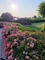 Ferienwohnung in Breege - Sonnenhus 2 - Breege/Rügen - Bild 21