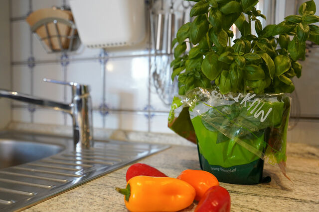 Ferienwohnung in Gr&ouml;mitz - Residenz am Kurpark, Whg. 11 - Bild 18