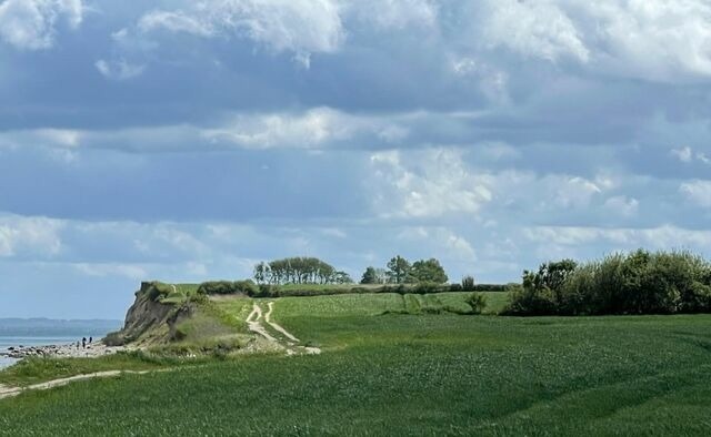 Ferienwohnung in Brodersby - Strand Ferien, Ostsee Urlaub, Ferienwohnung am Strand in Schlei Nähe , Umgebung von Kappeln u. Damp - Bild 14