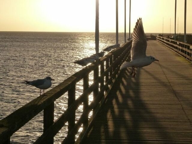 Ferienwohnung in Gro&szlig;enbrode - K&uuml;stenzauber 23 - Penthouse - Bild 24