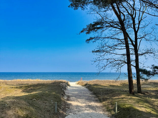 Ferienhaus in Baabe - Villa Hügel - Baabe - Bild 18