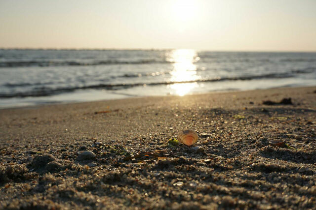 Ferienwohnung in Baabe - Strandvilla Baabe 5 - Meeresgl&uuml;ck - Bild 20