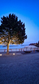 Ferienwohnung in Kiel - Design Appartement Sch&ouml;nfeld - Bild 24