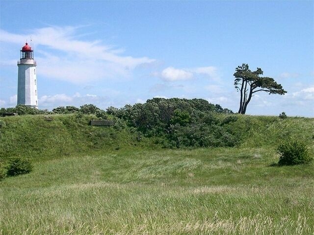 Ferienwohnung in Schaprode -  Ferienwohnung auf Rügen für 3 Erwachsene und 1 Kind in Schaprode Zi6 - Bild 12