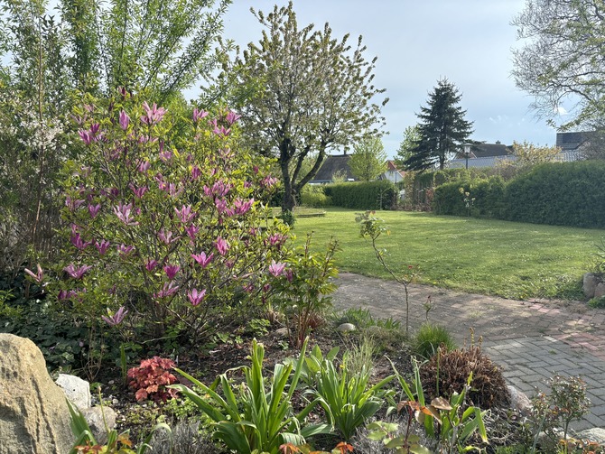 Ferienwohnung in Groß Schwansee - KIttel/Prior - Bild 10