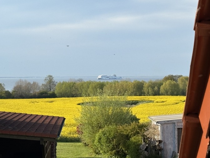 Ferienwohnung in Groß Schwansee - KIttel/Prior - Bild 7