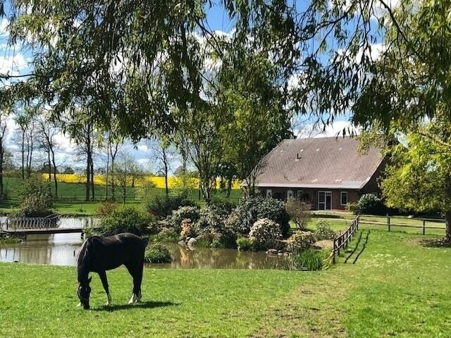 Ferienwohnung in Rieseby - Gut Büchenau - Ferienwohnung Meeresbrise - Bild 24