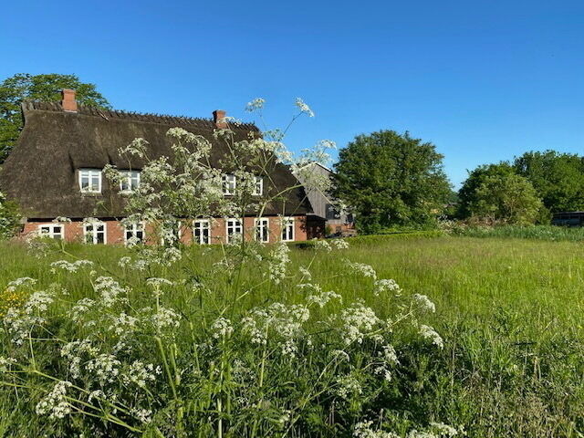 Ferienwohnung in Gelting - Appartement West - Bild 8