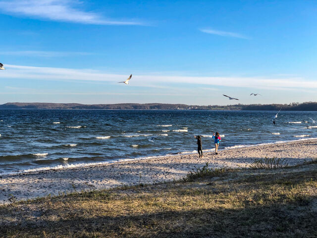 Ferienwohnung in Gl&uuml;cksburg - Ferienwohnung Gl&uuml;cks-Burg "Sonne" - Bild 24