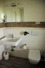 Ferienhaus in Fehmarn - G&auml;nsebl&uuml;mchen - Bild 12