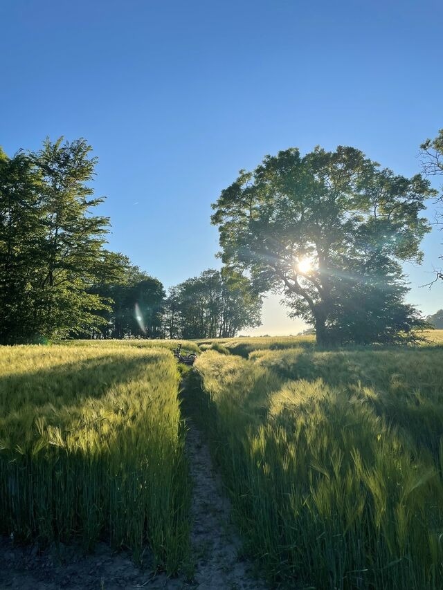 Ferienwohnung in Maasholm - Ferienwohnung mit Ostseeblick #16 - Bild 23