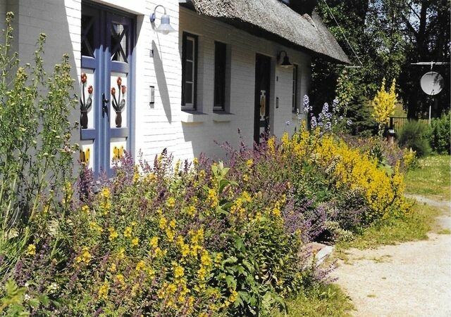Ferienwohnung in Zingst - Achtern Diek Haus 8 Wohnung 3 - Bild 2