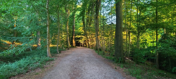 Ferienwohnung in Flensburg - Strandhygge - Bild 15