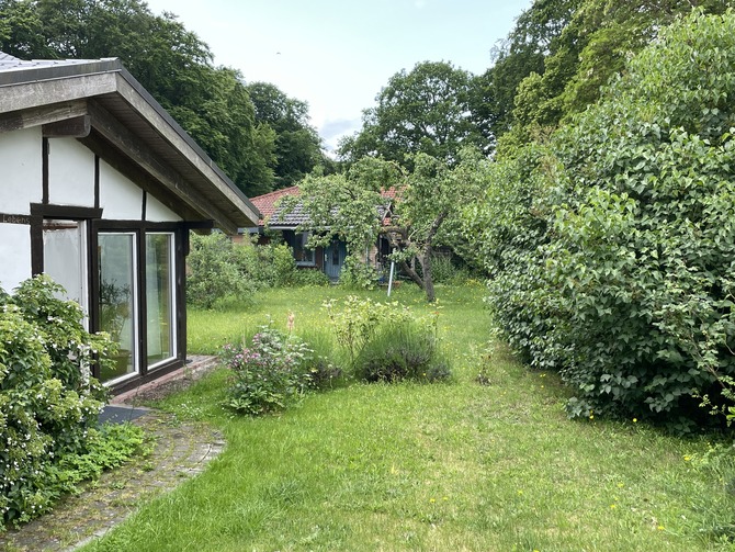 Ferienhaus in Graal-Müritz - Das kleine Ferienhaus - Bild 4