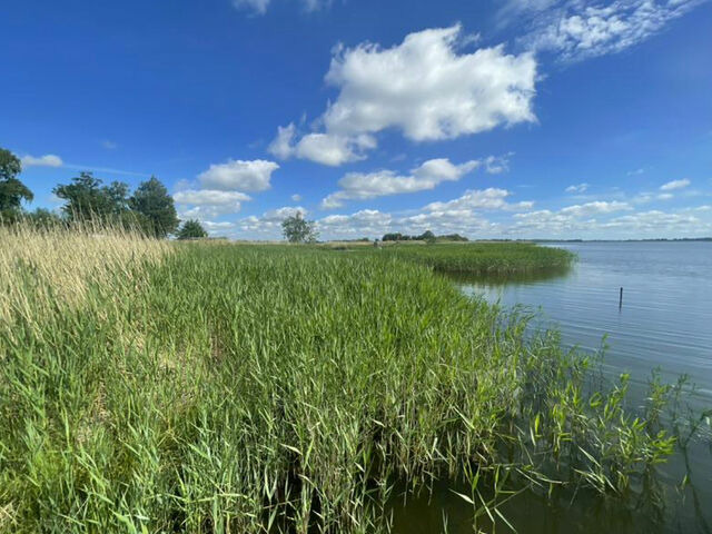 Ferienhaus in Garz - Familienferienhaus R&uuml;genbrise - Gemeinsames Urlauben mit Steg auf R&uuml;gen - Bild 22
