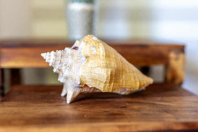 Ferienwohnung in Laboe - Strandstra&szlig;e 2 Treibgut - Bild 4