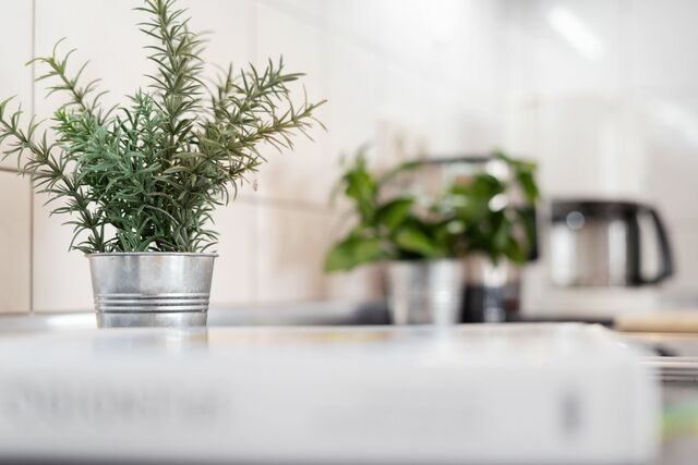 Ferienwohnung in Kellenhusen - Kaiserhof 18-20 Ostseeoase - Bild 18