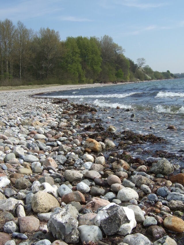 Ferienwohnung in Barkelsby-Hemmelmark - Alte Schule 1 - Bild 19